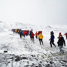 Running With The Penguins